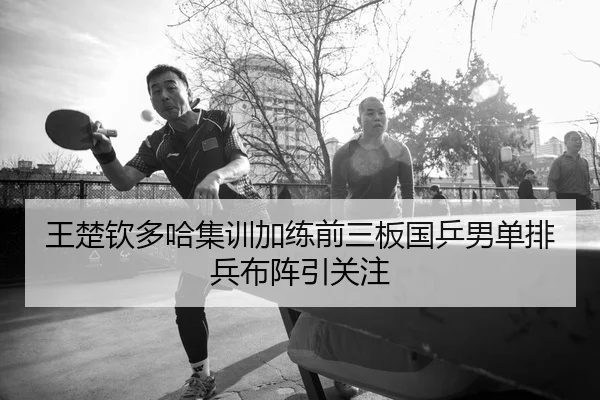 王楚钦多哈集训加练前三板国乒男单排兵布阵引关注